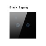 Black 2 Gang Smart Wi-Fi Light Switch Touch Panel Double Control
