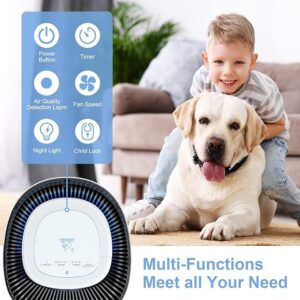 Air purifier control panel displaying multi-functions: Power, Timer, Air Quality Detection, Fan Speed, Night Light, and Child Lock, catering to diverse household needs.