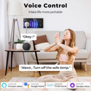 Universal Wall Socket Voice Control Amazon Alexa Google Home Smart Speaker